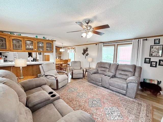living room featuring ornamental molding, ceiling fan, a textured ceiling, and light wood finished floors