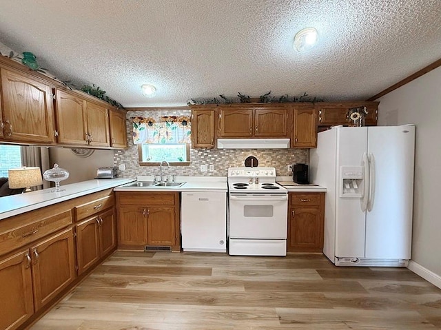 kitchen featuring white appliances, brown cabinetry, and under cabinet range hood