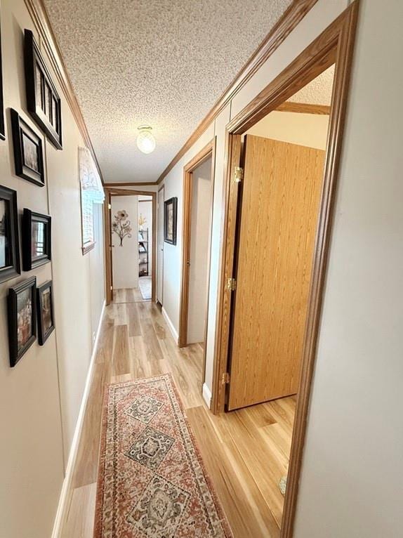 hall featuring a textured ceiling, light wood-type flooring, and crown molding