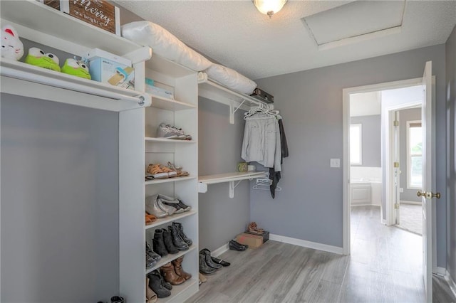 812 SW Stablewood Cir, Lees Summit, MO 64081 - spacious closet with attic access and wood finished floors