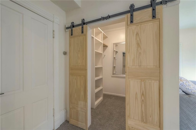 view of closet