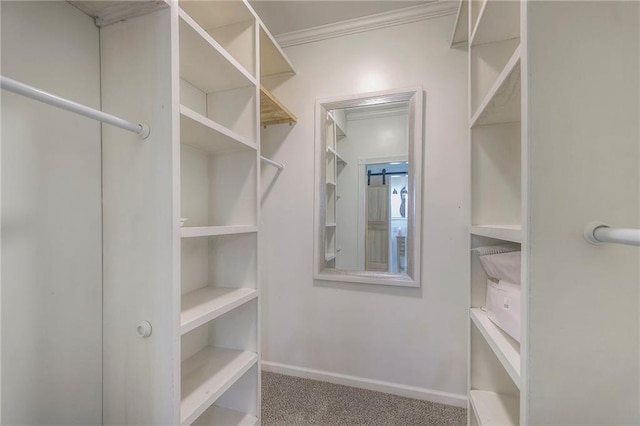 spacious closet featuring carpet flooring