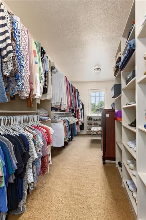 spacious closet featuring carpet