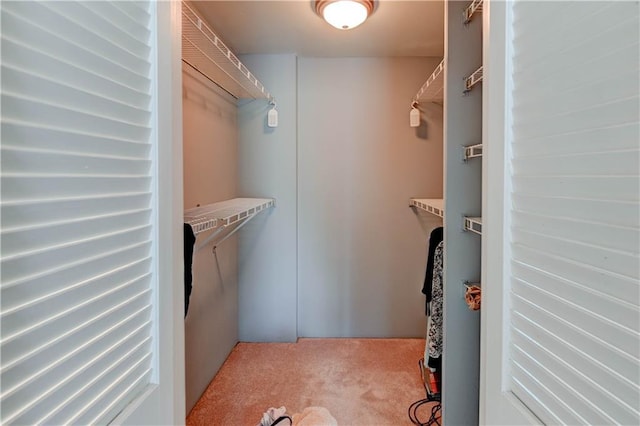 4738 Holly St, Kansas City, MO 64112 - photo 21