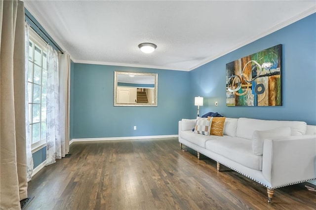 15819 W 147th Ter, Olathe, KS 66062 - living room featuring plenty of natural light, wood finished floors, ornamental molding, and baseboards