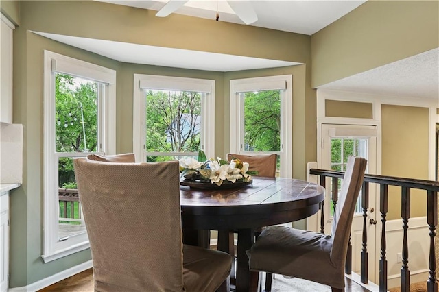 15819 W 147th Ter, Olathe, KS 66062 - dining room with healthy amount of natural light, ceiling fan, and baseboards