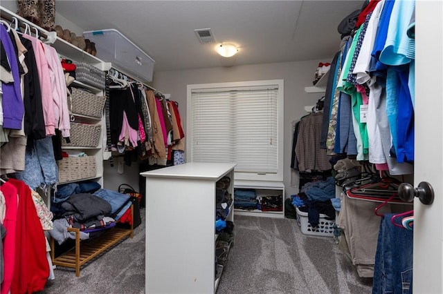 13017 Kelli Dr, Kearney, MO 64060 - spacious closet featuring carpet floors