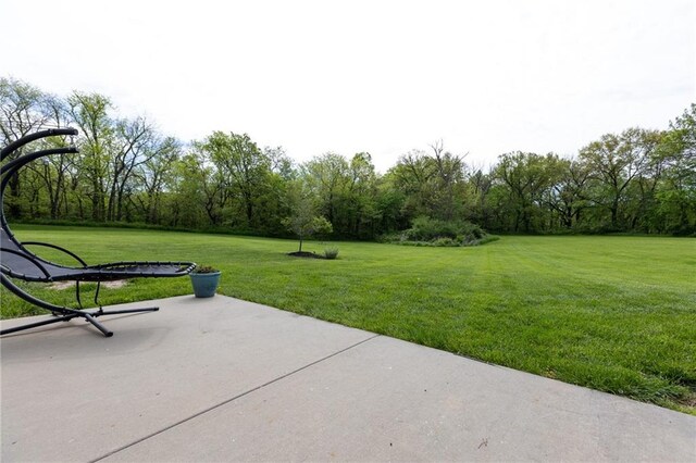 13017 Kelli Dr, Kearney, MO 64060 - view of patio / terrace