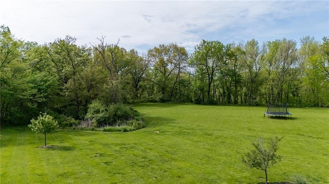 13017 Kelli Dr, Kearney, MO 64060 - view of green lawn with a trampoline