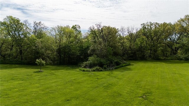 13017 Kelli Dr, Kearney, MO 64060 - view of green lawn featuring a wooded view