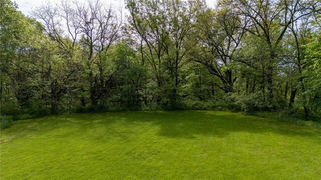 13017 Kelli Dr, Kearney, MO 64060 - view of green lawn