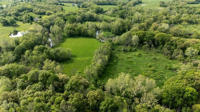 13017 Kelli Dr, Kearney, MO 64060 - aerial view of property and surrounding area