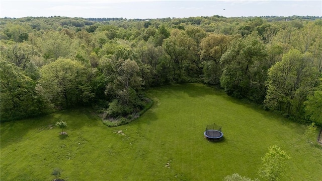 13017 Kelli Dr, Kearney, MO 64060 - aerial overview of property's location with a heavily wooded area