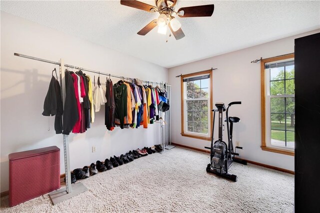 8346 Oakview Cir, Lenexa, KS 66215 - exercise room with carpet, healthy amount of natural light, a textured ceiling, and a ceiling fan