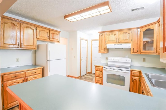 kitchen with a sink, under cabinet range hood, visible vents, white appliances, and a textured ceiling