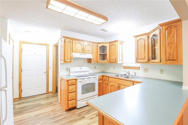 kitchen with light wood finished floors, a sink, under cabinet range hood, white appliances, and a textured ceiling