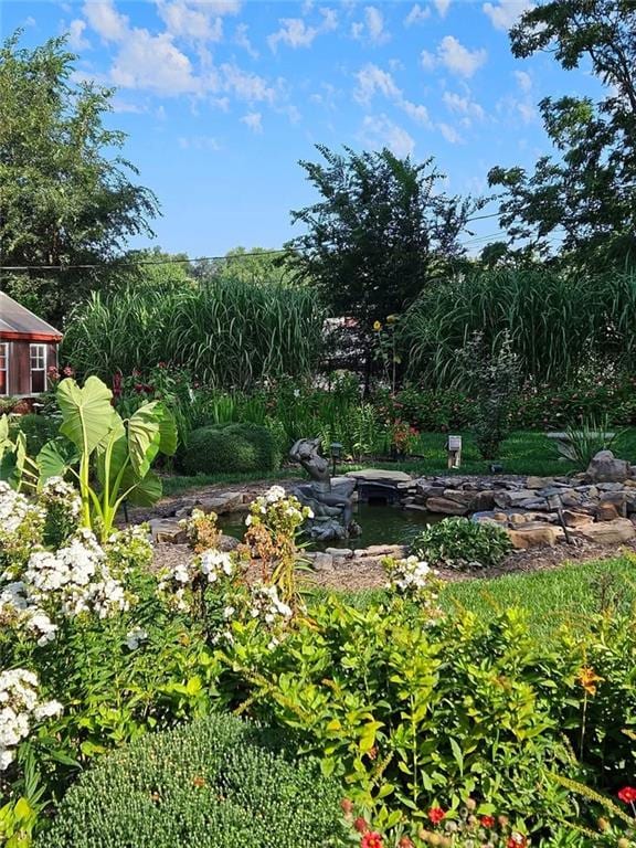 view of yard with a garden pond