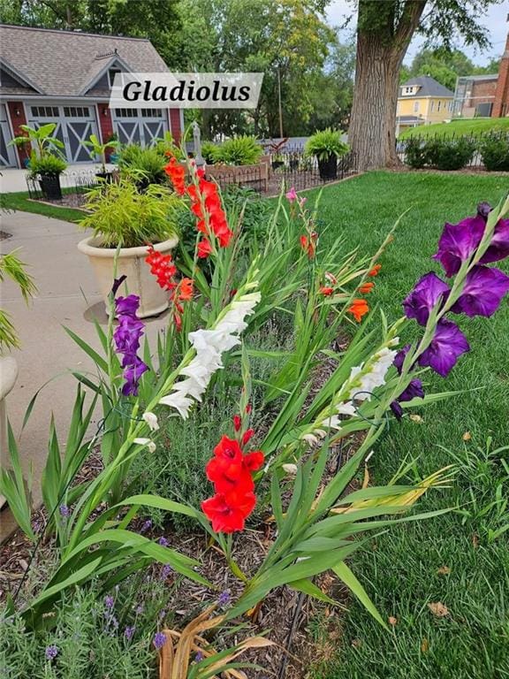 1401 Jules St, Saint Joseph, MO 64501 - view of yard