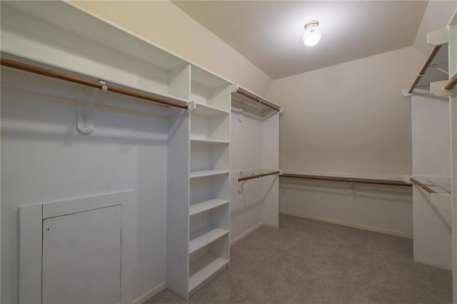 spacious closet featuring carpet floors