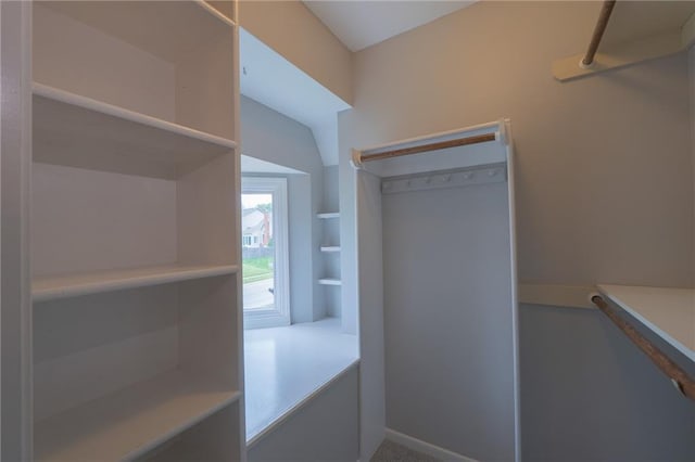 view of spacious closet