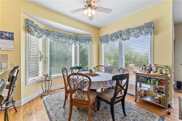 9800 W 147th St, Overland Park, KS 66221 - dining room with a ceiling fan and light wood-style floors
