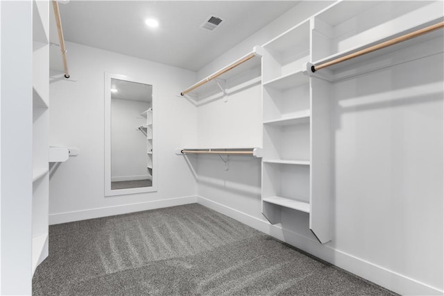 spacious closet featuring carpet flooring and visible vents
