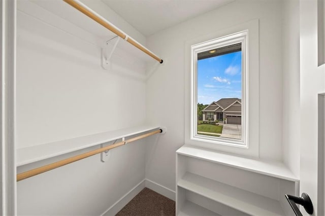 walk in closet featuring carpet