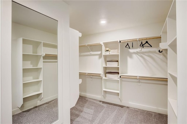 spacious closet with carpet