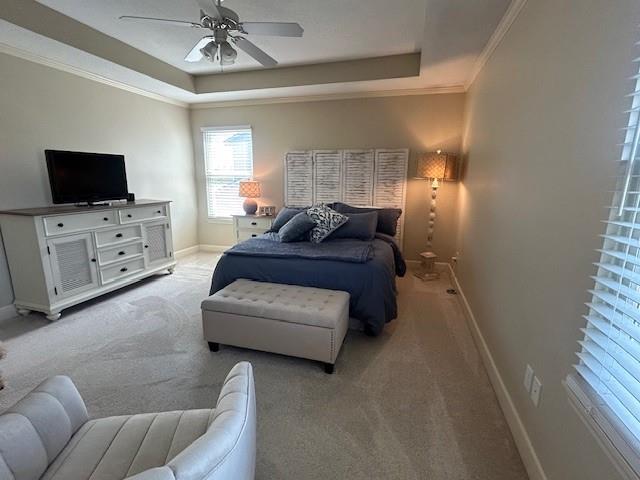 bedroom with crown molding, baseboards, ceiling fan, a raised ceiling, and carpet flooring