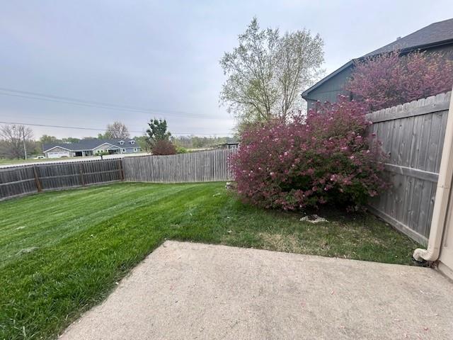 view of yard featuring a fenced backyard and a patio area