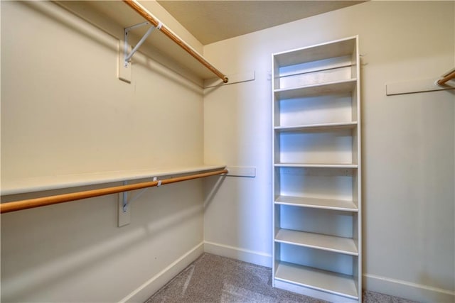 20534 W 199th Ter, Spring Hill, KS 66083 - spacious closet featuring carpet