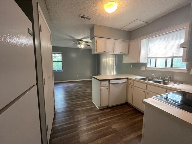 kitchen featuring dark wood-style flooring, a textured ceiling, a sink, and dishwashing machine