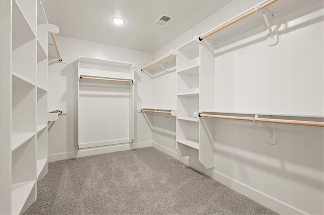 17163 S Laurelwood St, Olathe, KS 66062 - walk in closet with carpet flooring