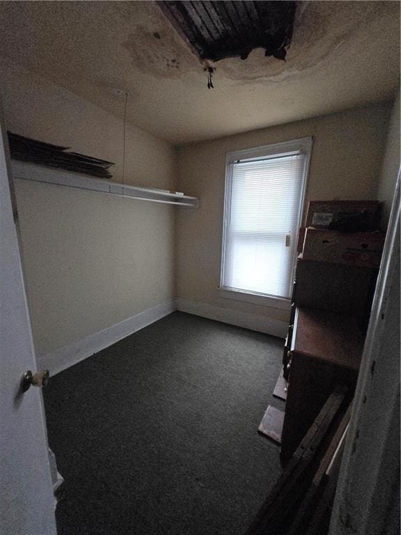 spacious closet featuring carpet flooring