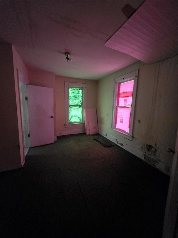 additional living space featuring carpet flooring