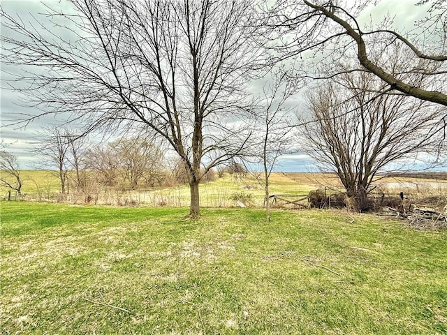 view of yard with a rural view