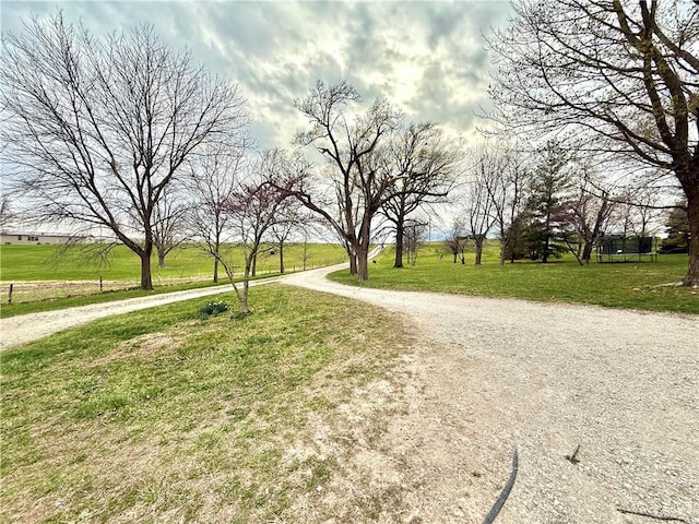 view of community with a yard