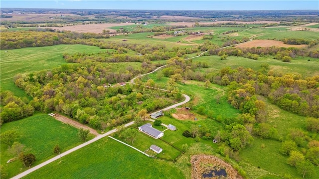 drone / aerial view