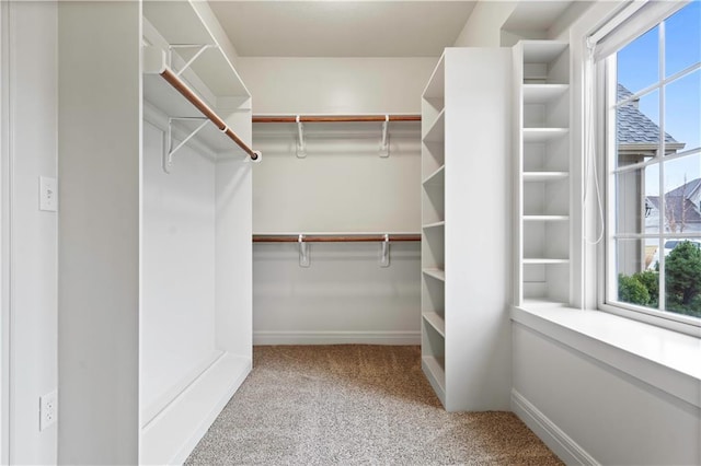walk in closet with carpet floors