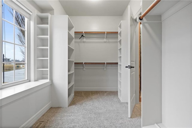 walk in closet featuring carpet flooring