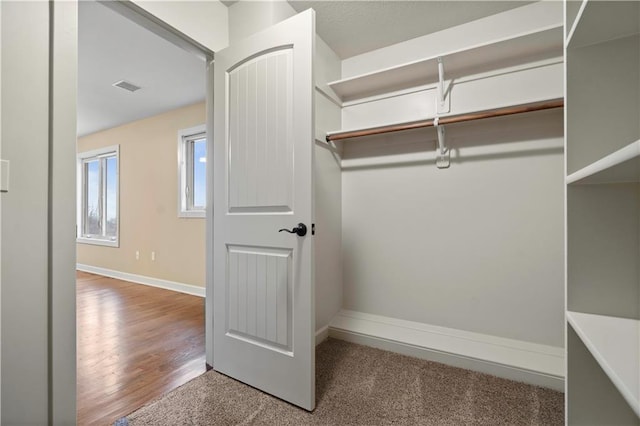 walk in closet with visible vents and carpet floors