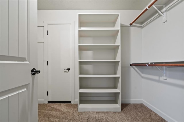 spacious closet featuring carpet floors