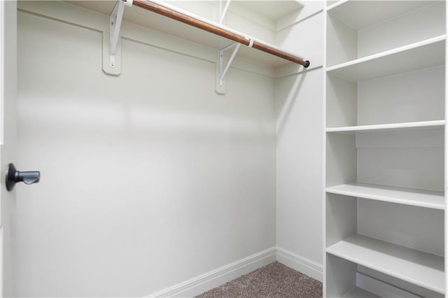 spacious closet with carpet floors