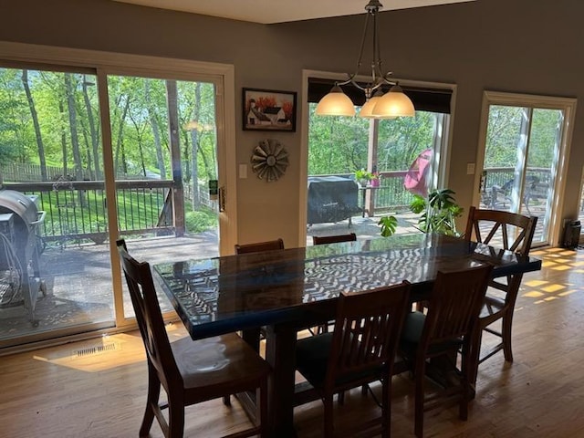 dining room with a healthy amount of sunlight and wood finished floors