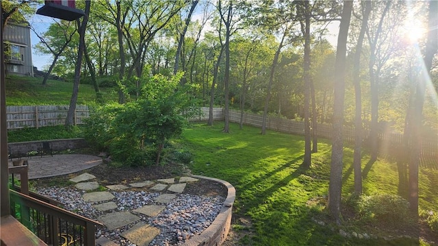 view of yard featuring a patio area and a fenced backyard