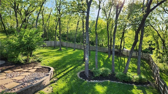 view of yard featuring a fenced backyard