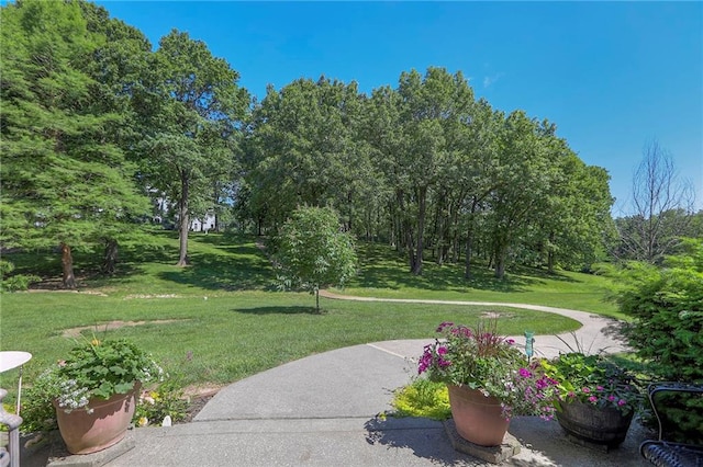 17800 E Bolger Rd Unit 245-A, Independence, MO 64055 - view of community with a yard
