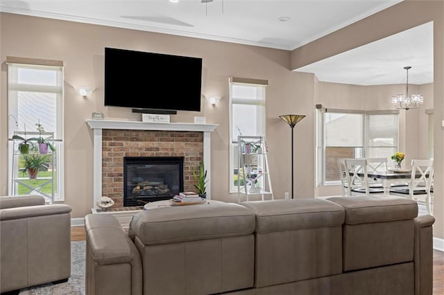 living room featuring crown molding, a notable chandelier, a fireplace, plenty of natural light, and wood finished floors