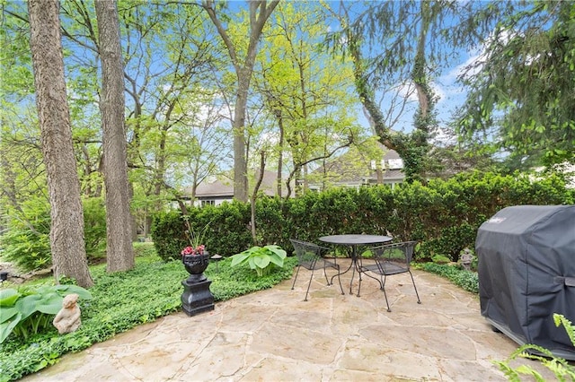 view of patio featuring outdoor dining space and grilling area