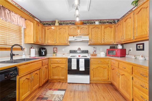 kitchen featuring range with electric stovetop, under cabinet range hood, dishwasher, a sink, and light wood finished floors